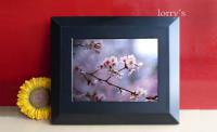10.4寸 数位相框  采用SHARP LQ104V1DG51 TFT LCD