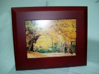 JZ104 数位相框(红木框)