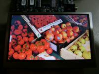 JZ043 4.3寸  SHARP LQ043T1DG02  显示器 客制化生产