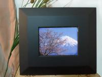 5.6寸 AV MONITOR TMD LCD inside