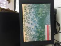 专业 21.3寸显示器  奇美面板 (R213T3 -L01)